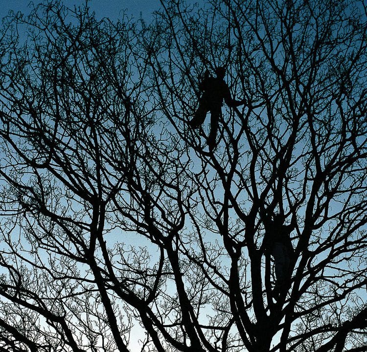 رعایت سادگی در ترکیب بندی عکس