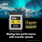 کارت حافظه لکسار Lexar 256GB Professional CFexpress Type B Card GOLD Series