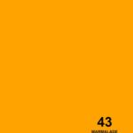 فون کاغذی سوج مربایی Savage Widetone Seamless #43 Marmalade