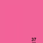 فون کاغذی سوج لاله ای Savage Widetone Seamless #37 Tulip